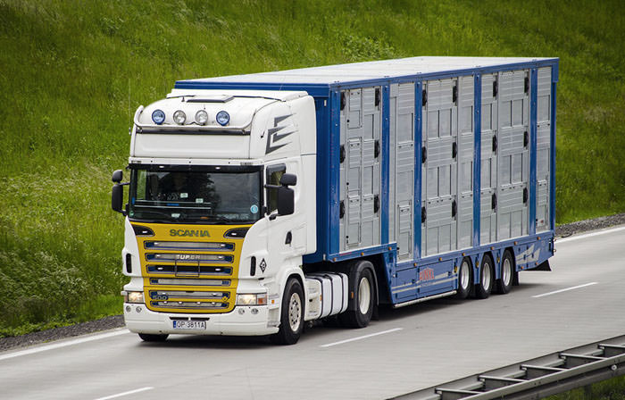Our Heavy Truck